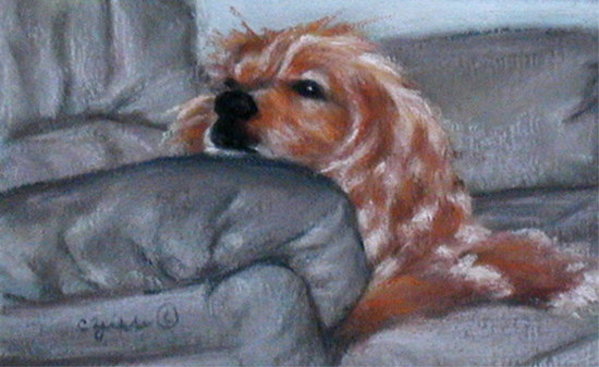 My Chair by Carol Zirkle