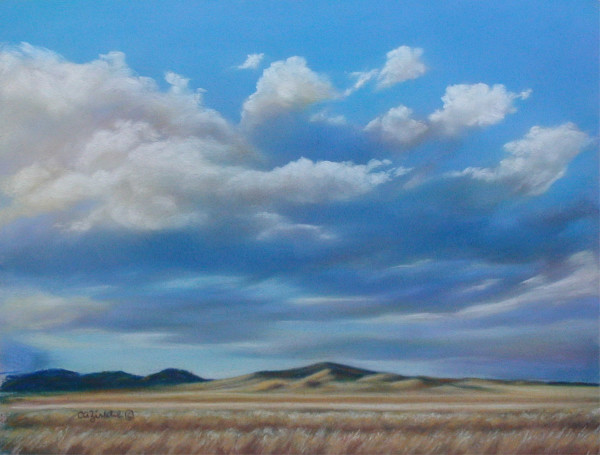 Overshadowed by Carol Zirkle