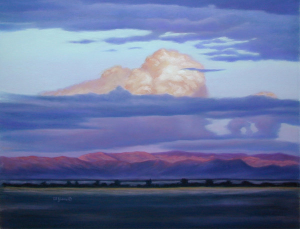Pink Farewell by Carol Zirkle
