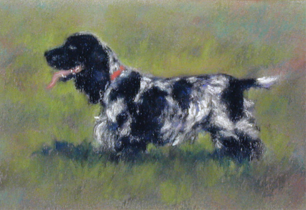 Sophie by Carol Zirkle