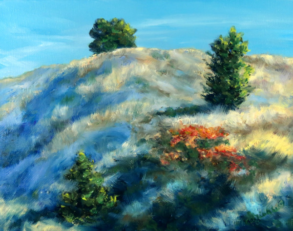 Sunny Side of the Hill by Carol Zirkle