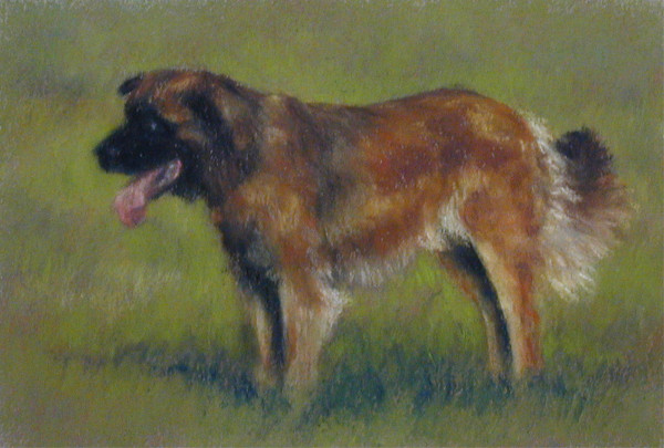 Tessa by Carol Zirkle