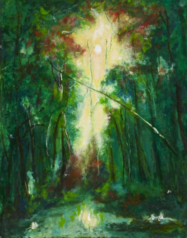 Sunlit Woodland by Anthony G. DeFurio