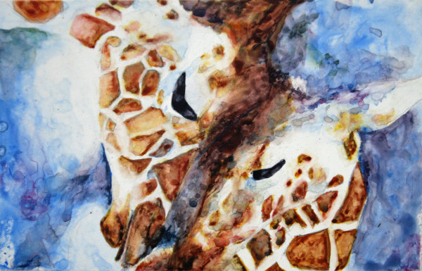 Giraffes by Elisha 