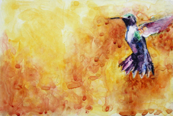 Hummingbird by Elisha 
