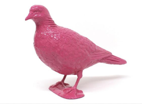 BELONGING (pink pigeon upright) by Patrick Murphy