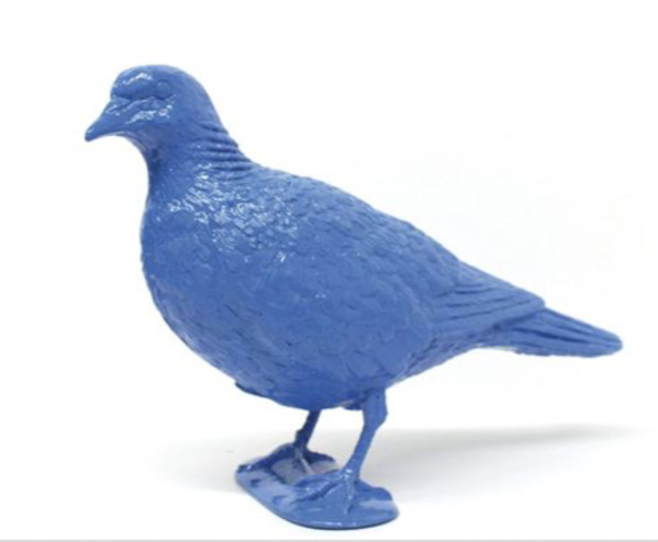 BELONGING (blue pigeon upright) by Patrick Murphy