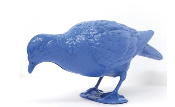 BELONGING (blue pigeon feeding) by Patrick Murphy
