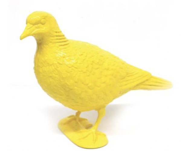 BELONGING (yellow pigeon upright) by Patrick Murphy