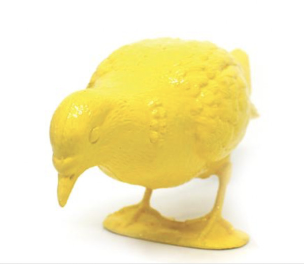BELONGING (yellow pigeon feeding) by Patrick Murphy