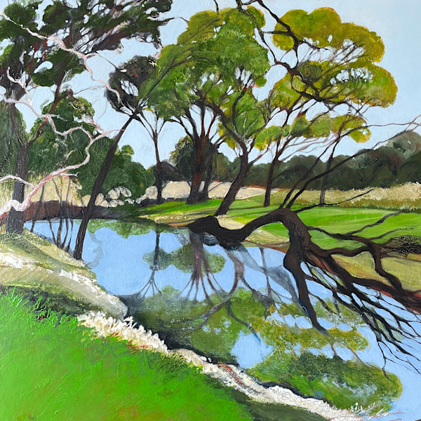 Nature’s Mirror by Karina Buckingham