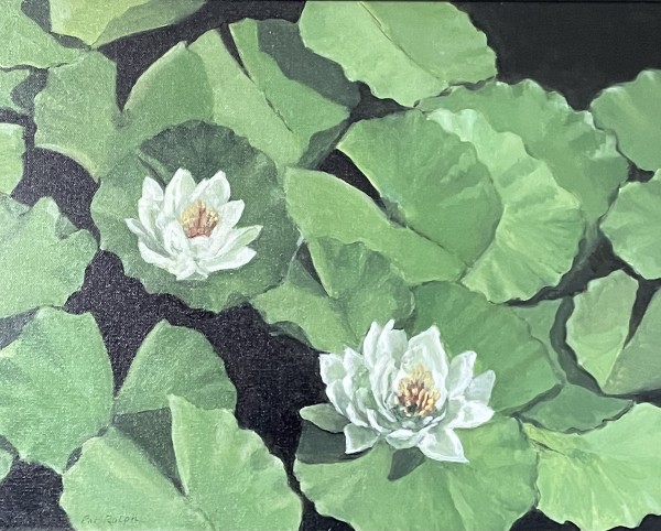 Water Lilies by Pat Ralph