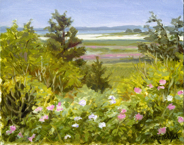 Beach Roses by Pat Ralph