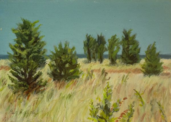 Cedars by Pat Ralph