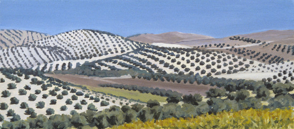 Olive Groves by Pat Ralph