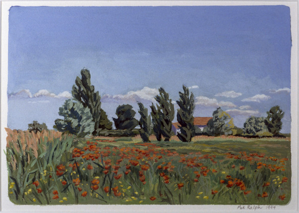 Poppy Field by Pat Ralph
