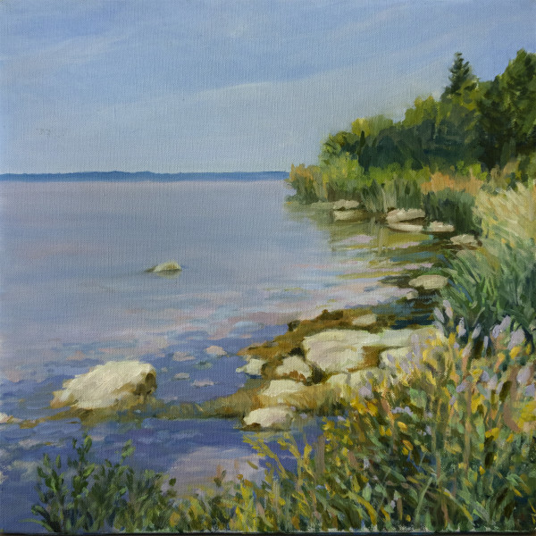 Untitled #319 (Door County Rocky Shore) by Pat Ralph