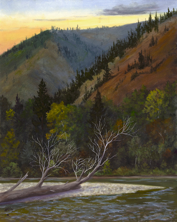Driftwood Journey by Annie McCoy, Image 1.
