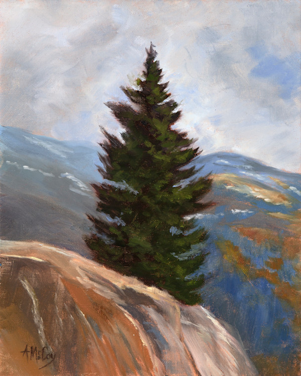 The Evergreen by Annie McCoy, Image 1.