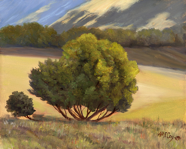 The Willow by Annie McCoy, Image 1.