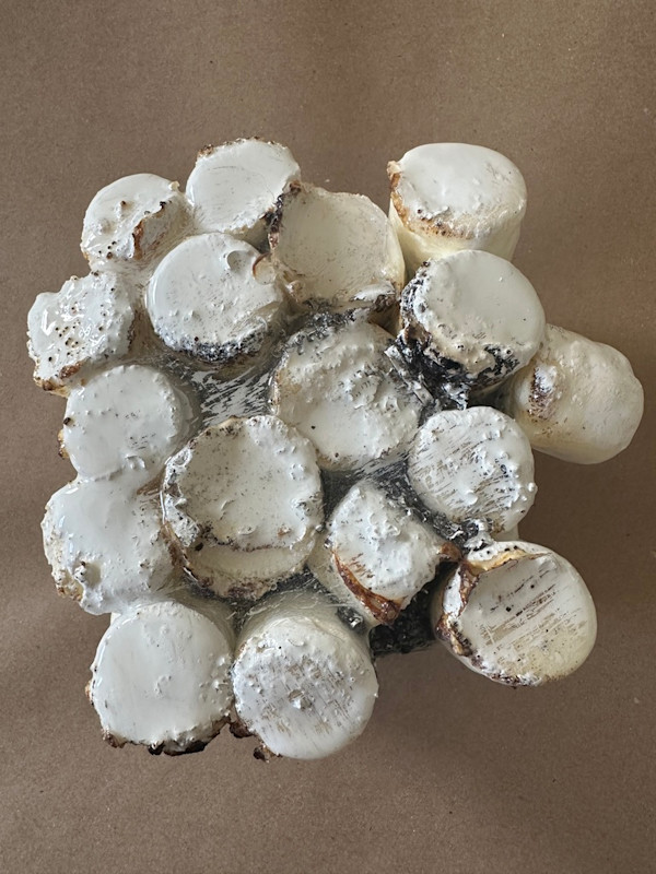 Mini-bites 1 by Connie Noyes