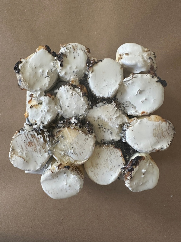 Mini-bites 3 by Connie Noyes