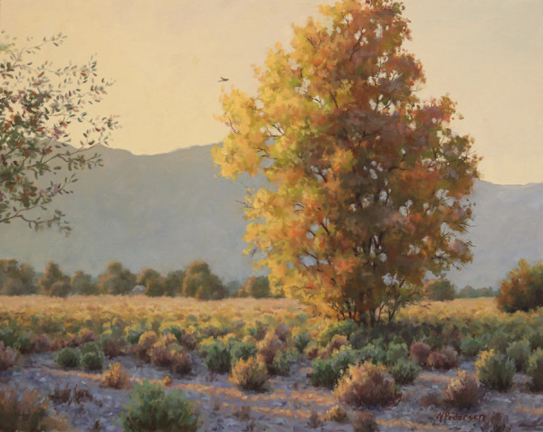 Last Rays by Vicki Pedersen, Image 1.
