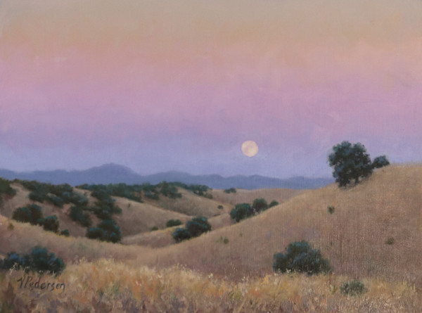 California Gold by Vicki Pedersen