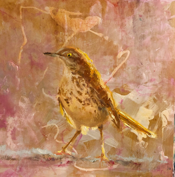 a gleam in hte eye by Robin Roberts, Image 1.