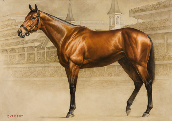 American Pharoah at Churchill as a 3 year old by Jamie Corum