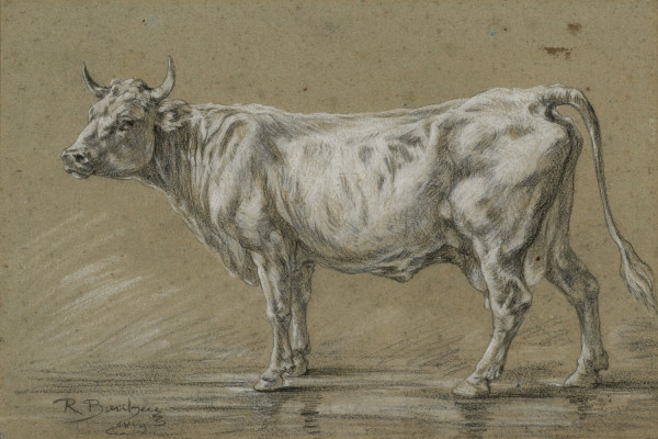Study of a Cow by Rosa Bonheur