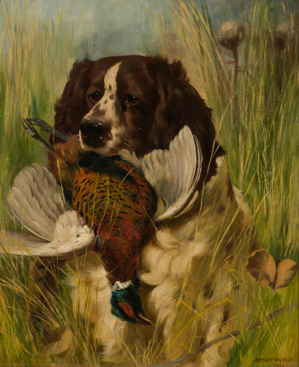 Bird Dog by Arthur Wardle