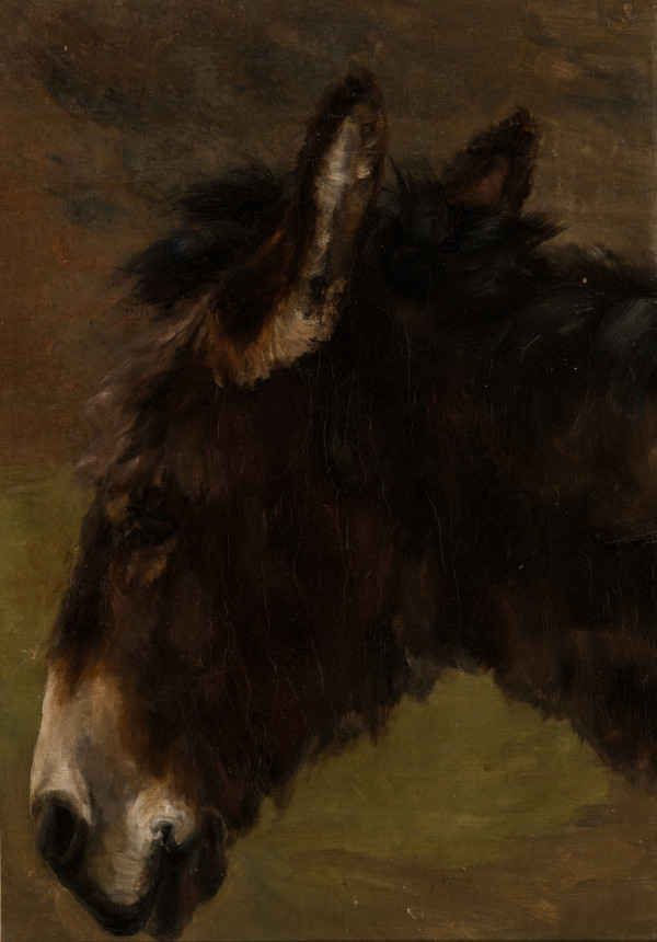 A Donkey Study by Frederic Whiting