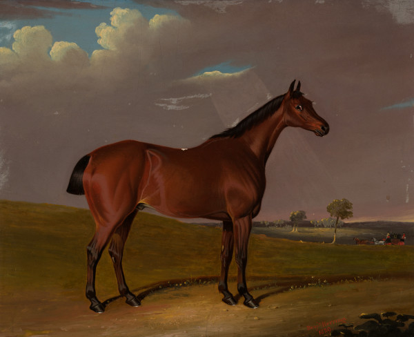 Portrait of a Dark Bay Horse with a Coaching Scene in the Background by Benjamin Herring Sr.