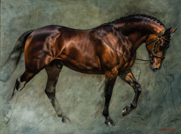 Study of a Bay Stallion by Jamie Corum