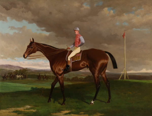 Bay Horse with Jockey Up by Harry Hall