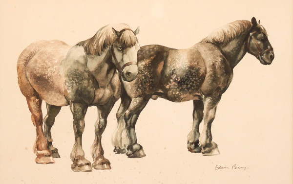Clydesdales by Edwin Penny