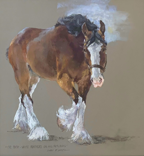 Clydesdale by Suzy Smith
