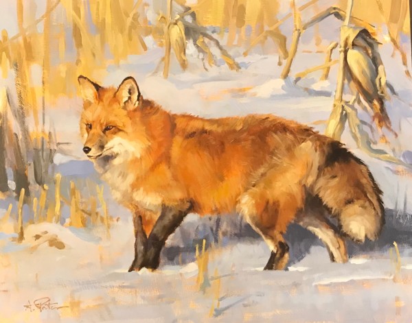 Fox in Winter by Andre Pater