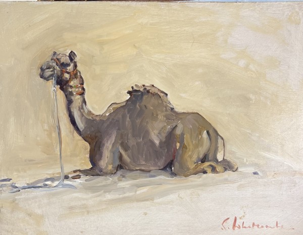 Camel - Rajasthan by Susie Whitcombe