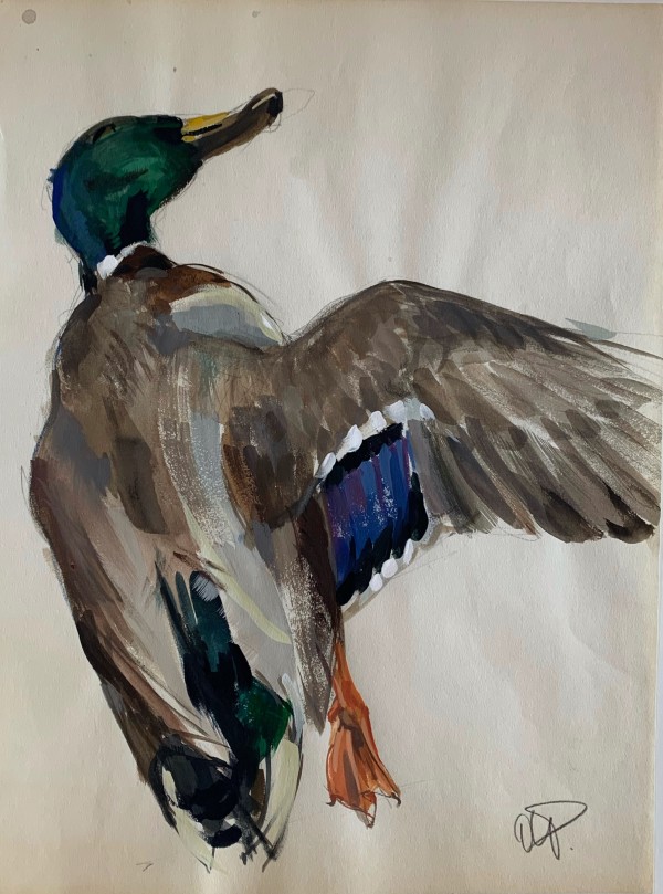 Study of a Mallard II by Andre Pater