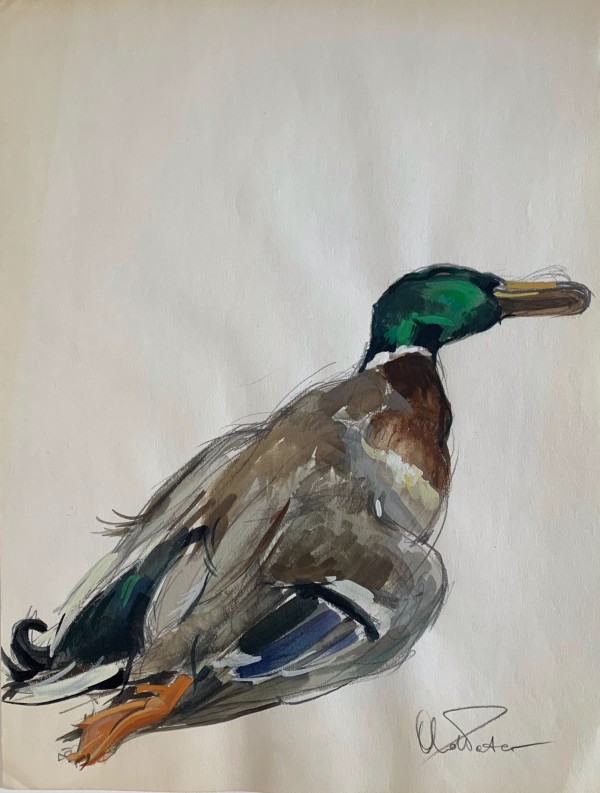 Study of a Mallard IV by Andre Pater