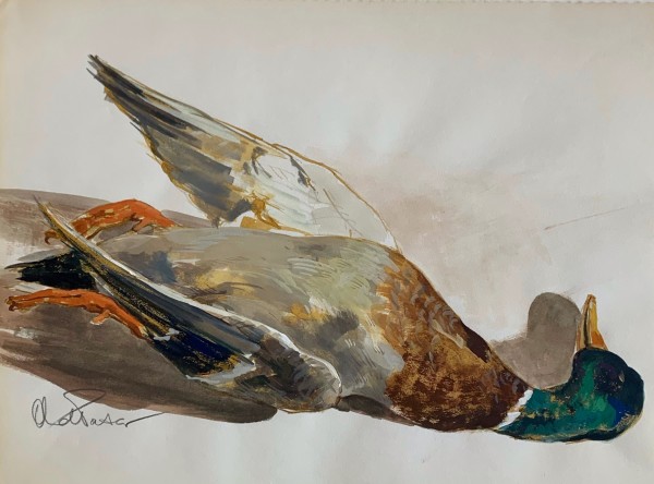 Study of a Mallard III by Andre Pater