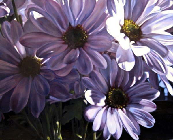 Daisies 2 by Robert Scott Chiarella