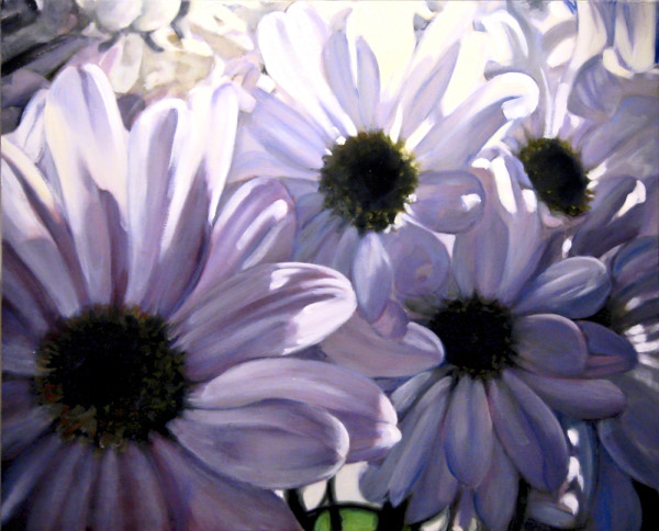 Daisies 3 by Robert Scott Chiarella