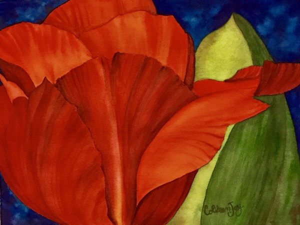 One Red Tulip by Colleen Joy Vawter