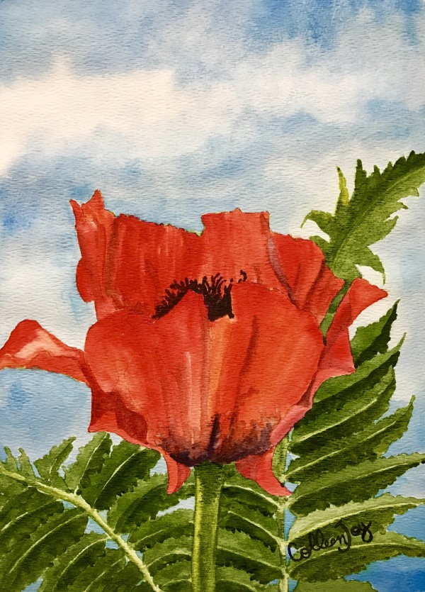 Red Poppy by Colleen Joy Vawter