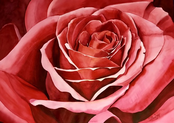 Cheryl's Rose by Colleen Joy Vawter