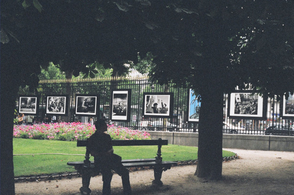 Photos in the Park, Paris by Diana Atwood McCutcheon