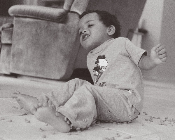 Cheerios Morning 3 by Diana Atwood McCutcheon